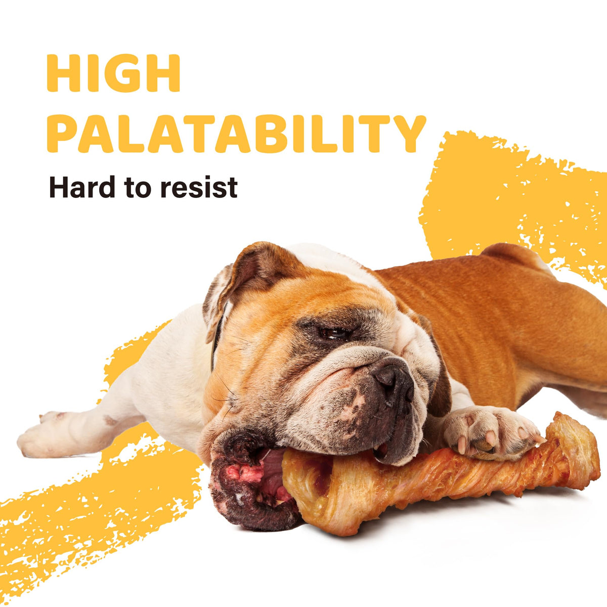 iPaw Turkey Tendon for Dogs Value Pack, All Natural Human Grade Puppy Chew