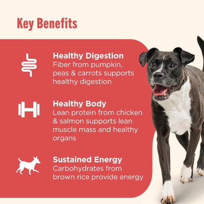 Nutrish Beef Paté Wet Dog Food, 13 oz. Can, (Pack of 12) (Rachael Ray)