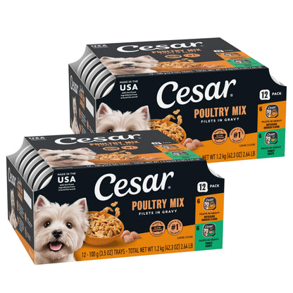Cesar Filets in Gravy Wet Dog Food, Steak Mix Variety, 3.5 oz, 12 Count