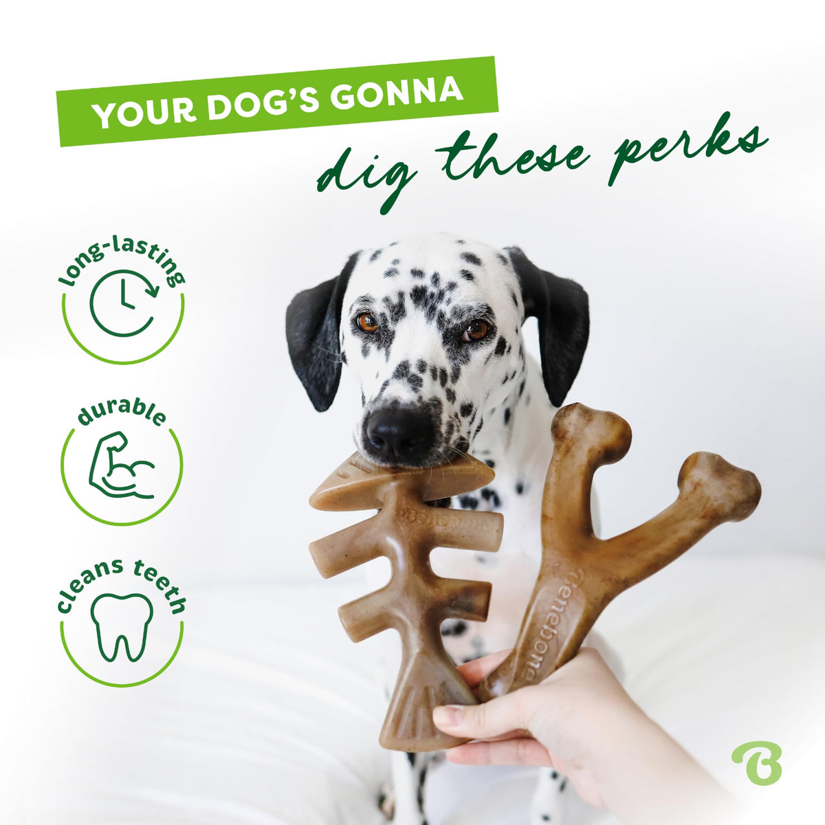 Benebone Medium 4-Pack Dog Toys for Aggressive Chewers – Under 60 lbs