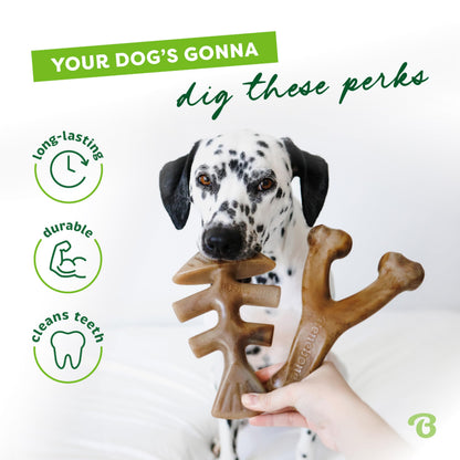 Benebone Medium 4-Pack Dog Toys for Aggressive Chewers – Under 60 lbs