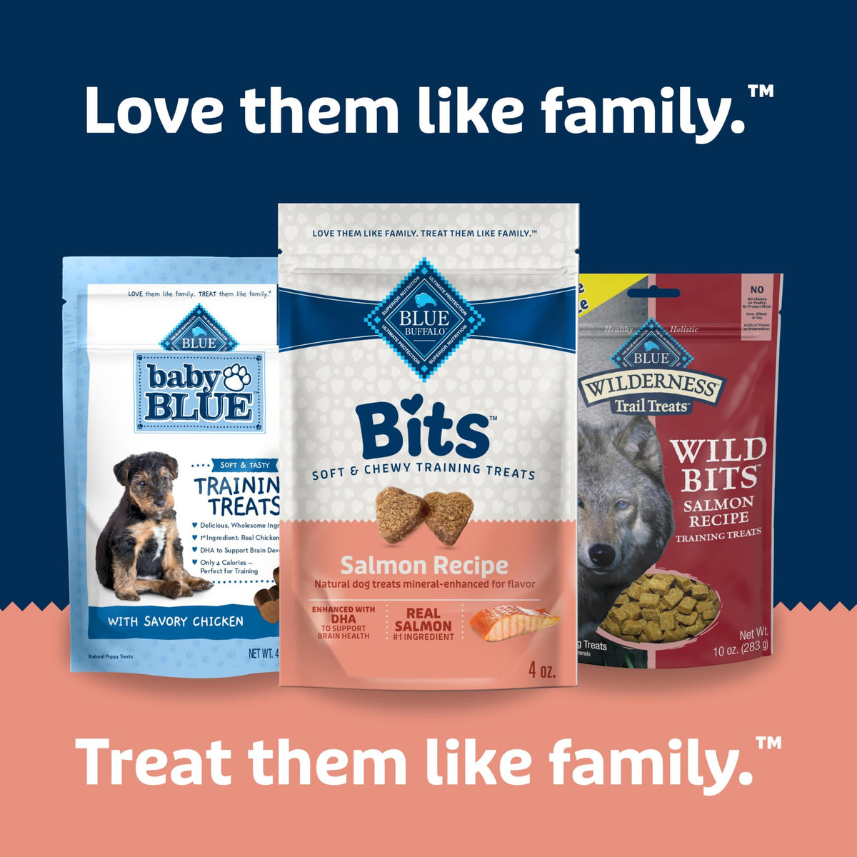 Blue Buffalo Bits Beef Training Treats, 19 oz