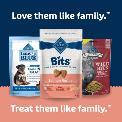Blue Buffalo Bits Beef Training Treats, 19 oz