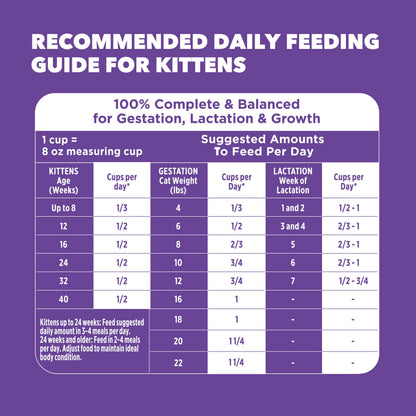 IAMS Proactive Health Healthy Kitten Dry Cat Food, Salmon, 7 lb