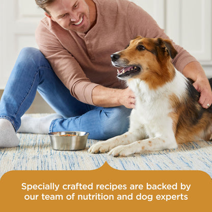 Nutrish Chicken Paw Pie Wet Dog Food, 8 oz. Tub (Pack of 8) (Rachael Ray)
