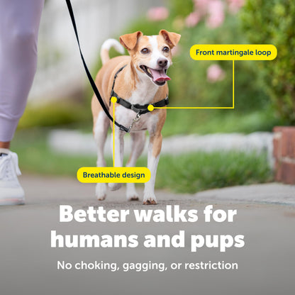 PetSafe Easy Walk Harness, No Pull Dog Harness, Raspberry, Medium/Large