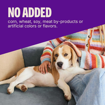 Wellness Soft Puppy Bites Dog Training Treats, Natural, Grain Free, Lamb and Salmon Recipe, 8 oz Bag