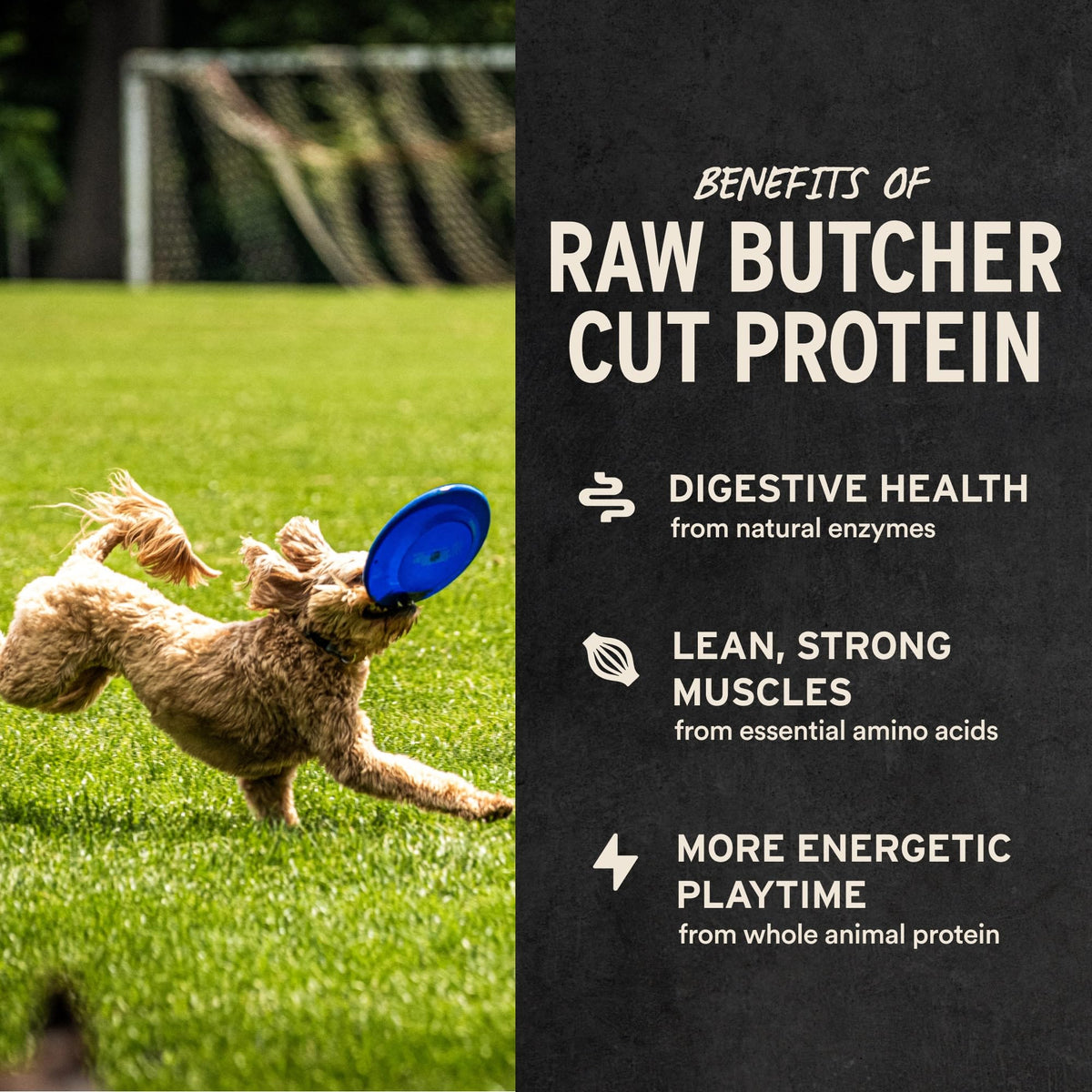 Vital Essentials Freeze Dried Dog Treats, Salmon Bites, 5 oz Bag