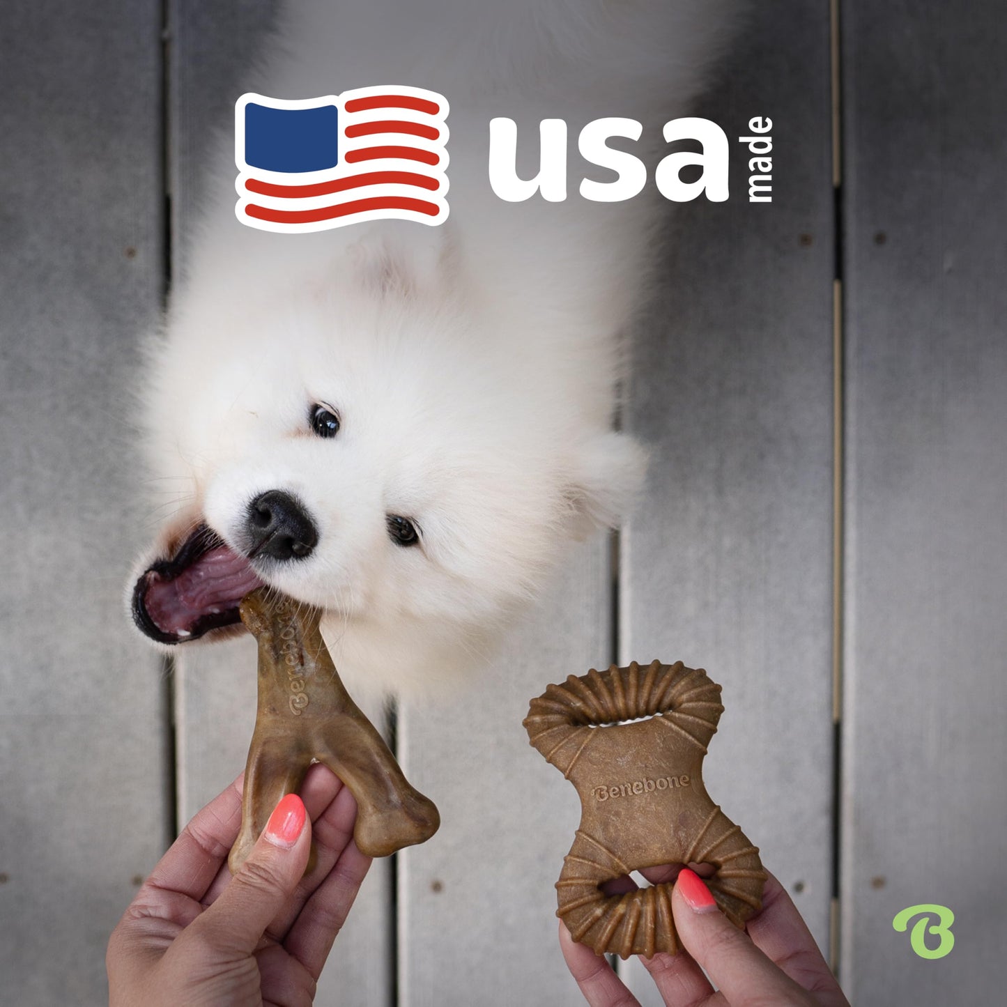 Benebone 7-Pack Dog Chew Toys for Aggressive Chewers, Dog Bones, Medium
