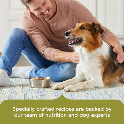 Nutrish Chicken Paw Pie Wet Dog Food, 8 oz. Tub (Pack of 8) (Rachael Ray)