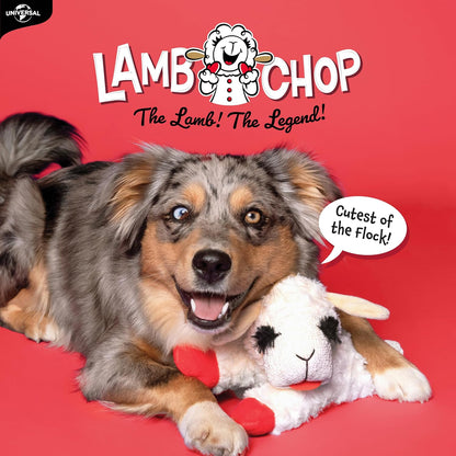 Multipet Lamb Chop Dog Plush Toy 10", Cream, 5 Squeakers