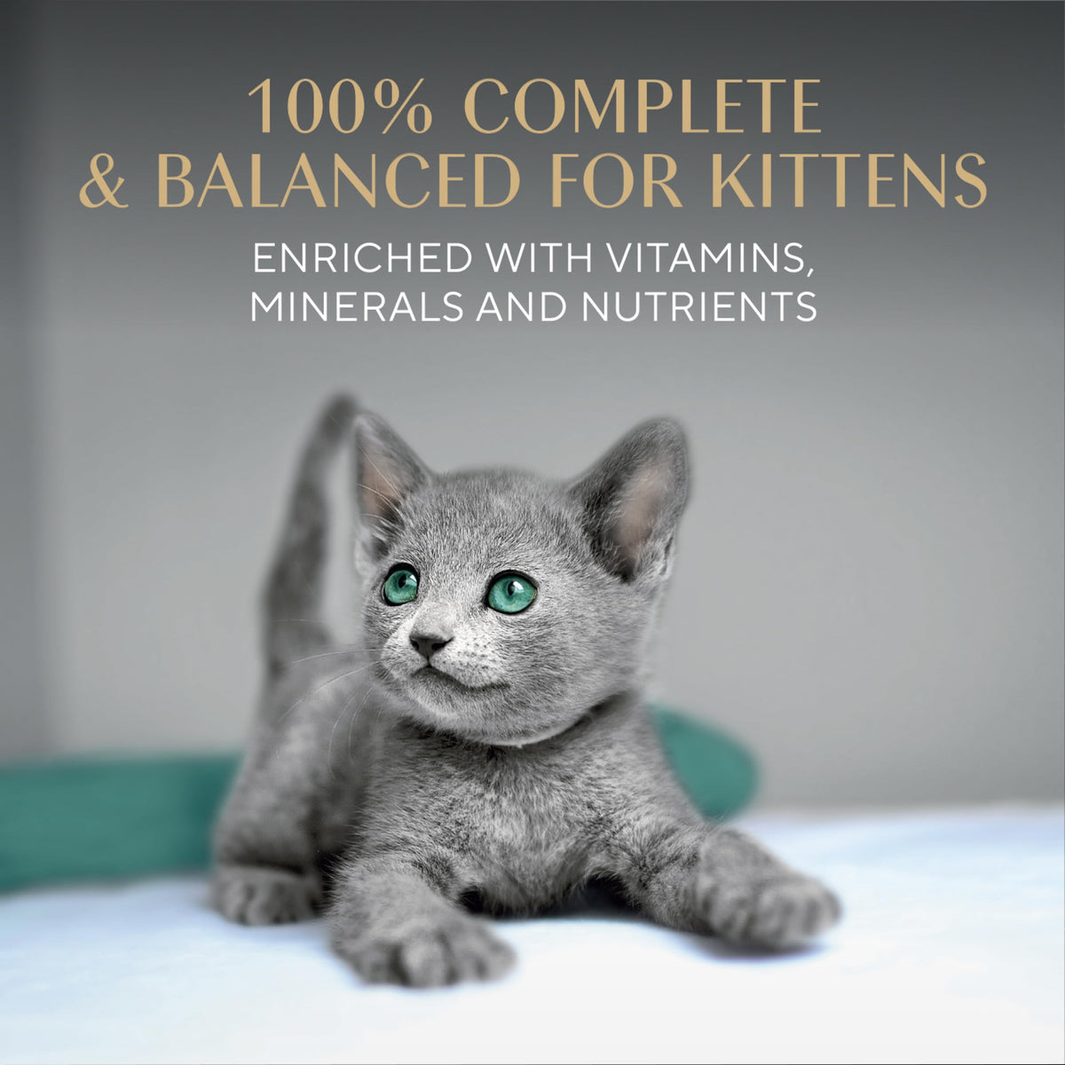 Sheba Perfect Portions Kitten Pate Wet Cat Food, Multipack, 2.6 oz, 24 ct