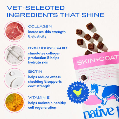 Native Pet Omega 3 Fish Oil for Dogs & Cats – Wild Alaskan Salmon Oil for Dogs Skin and Coat, Supports Joints, Heart & Shedding – Fast-Absorbing Omega 3 6 9 Liquid Supplement – 8oz