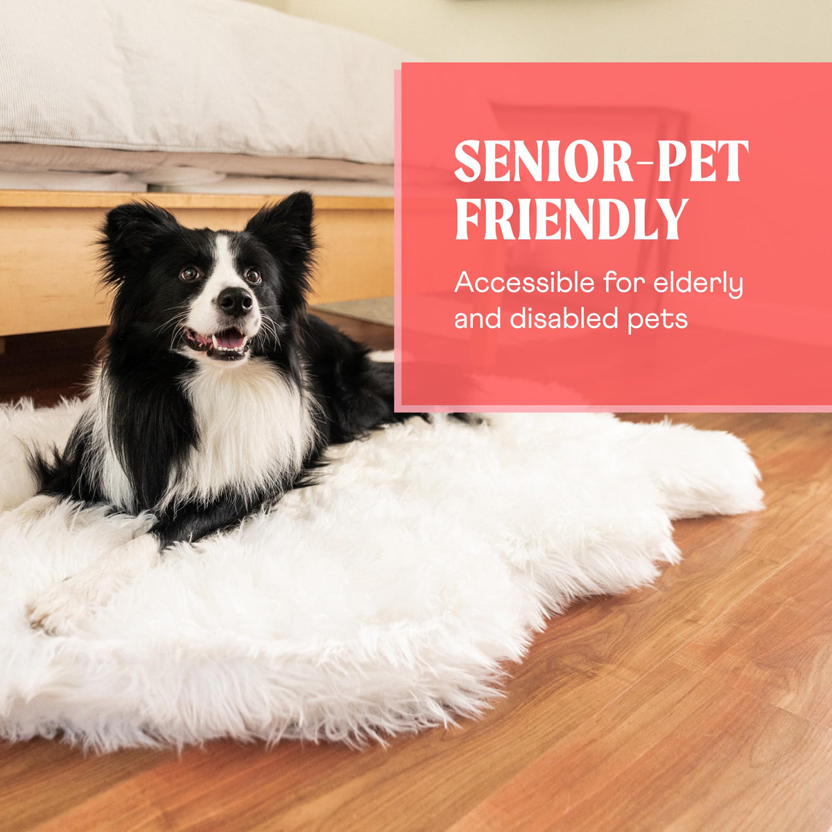 PAW BRANDS PupRug Orthopedic Memory Foam Dog Bed, White/Brown, 50x30