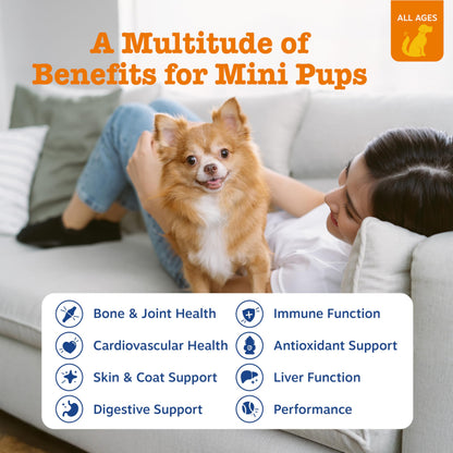 Zesty Paws Dog Multivitamin + Glucosamine for Dogs - Peanut Butter, 90 Ct