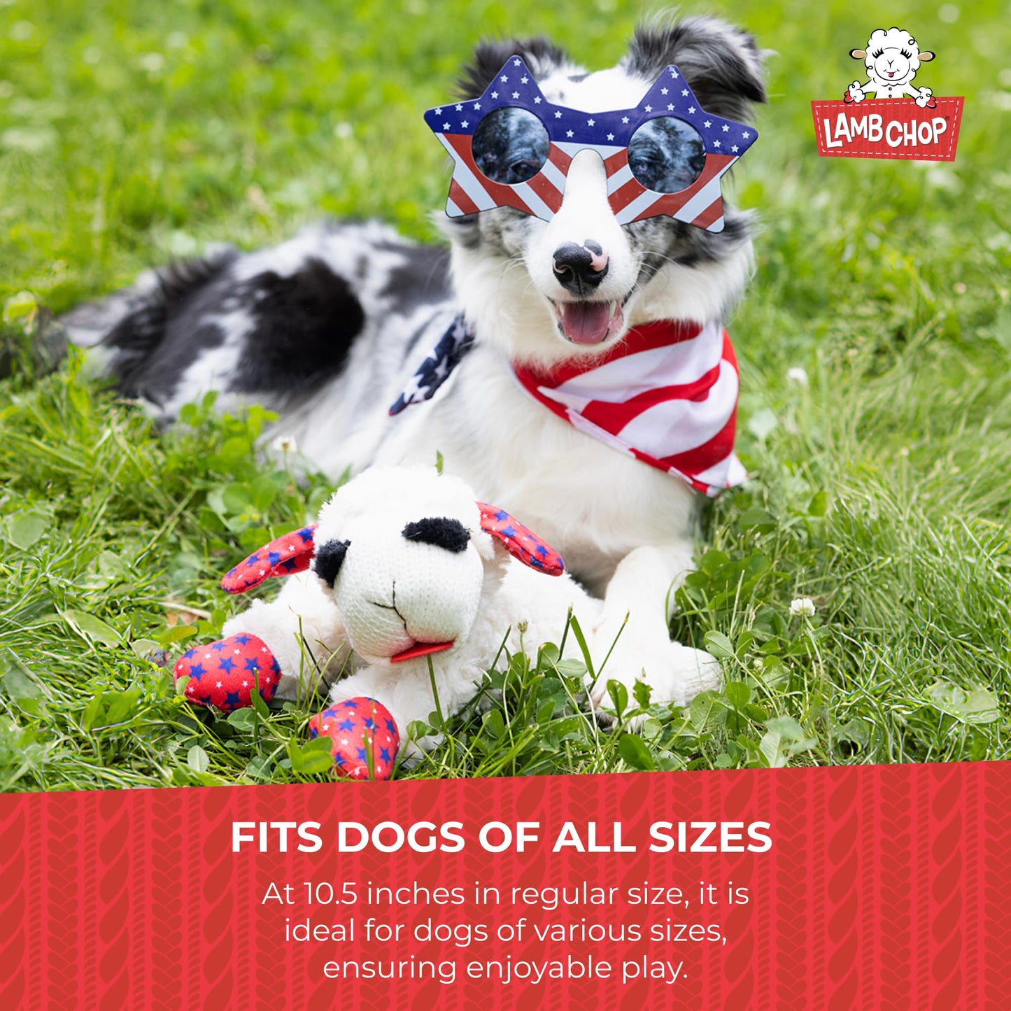 Multipet Lamb Chop Dog Plush Toy - Squeaky Toy for All Dogs - Extra Soft Plush - Stuffed Animal for Cuddling & Playing - Jumbo (24", Cream)