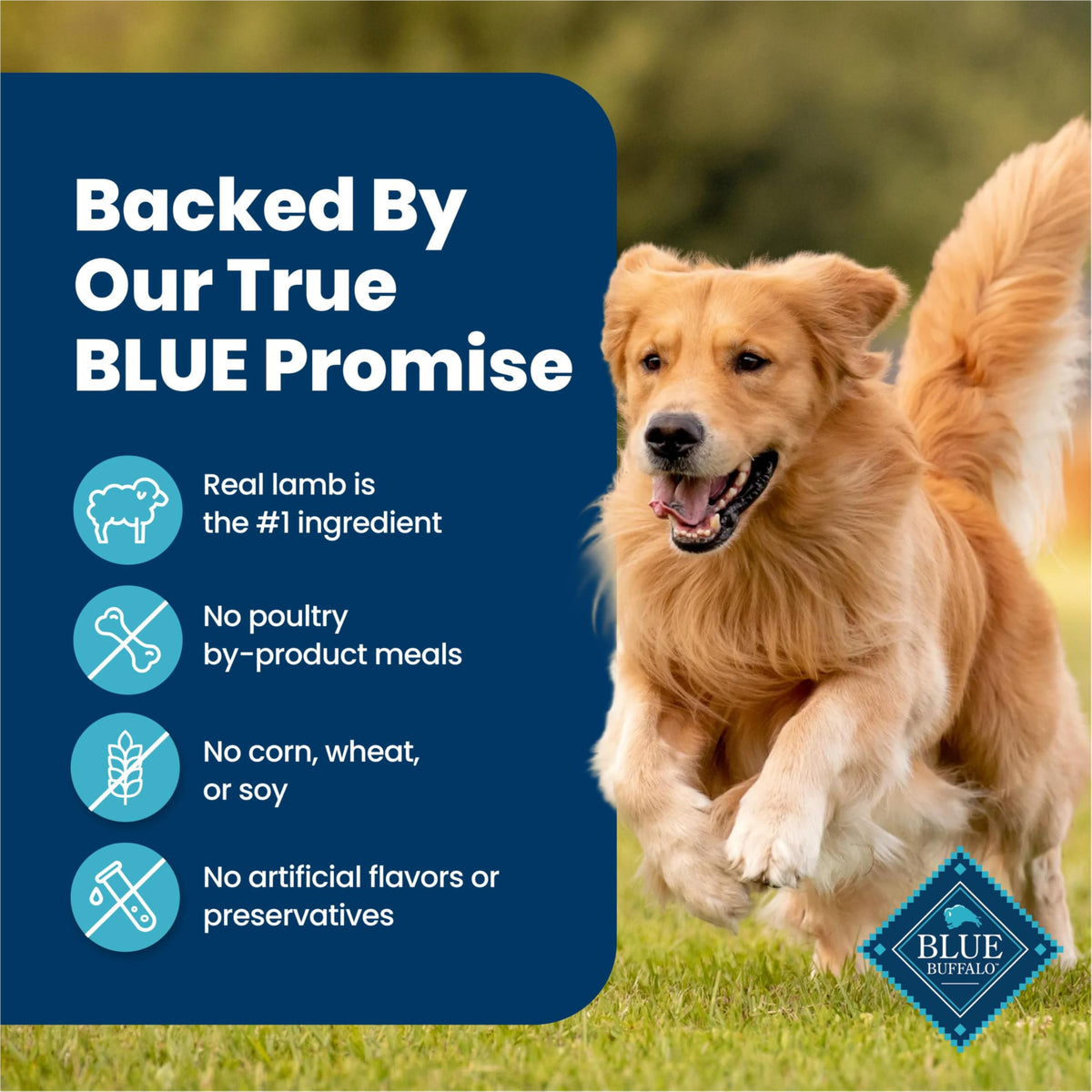 Blue Buffalo Homestyle Recipe Variety Pack Wet Dog Food, 12.5 oz, 6 ct