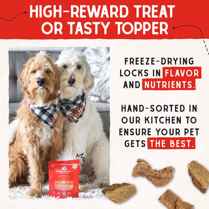 Stella & Chewy's Freeze-Dried Raw Chicken Breast Dog Treats - Single Ingredient, No Additives - Premium Training Treats - Perfect For Picky Eaters - 2.75oz Bag