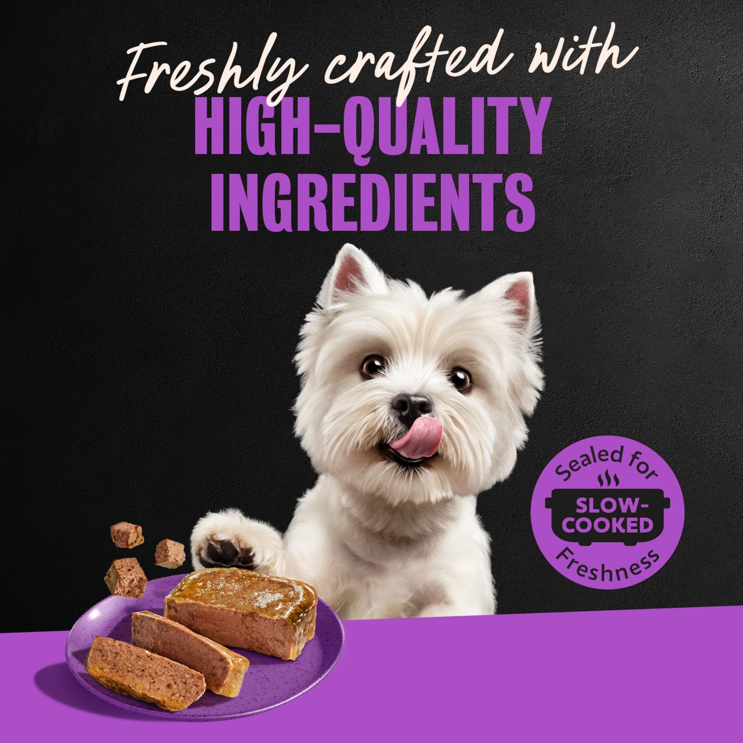 Cesar Classic Loaf in Sauce Wet Dog Food, Meaty Selects, 3.5 oz, 36 Count