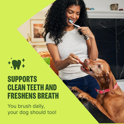 Wellness WHIMZEES Value Pack Natural Dog Dental Treat, Chews, Freshens Breath, Large Size, 50.9 oz Box, 24 Count