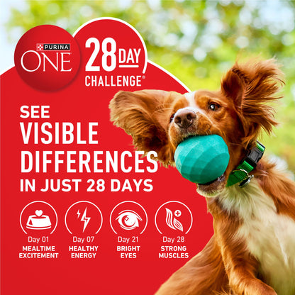 Purina ONE Chicken and Rice Formula Natural Dog Food