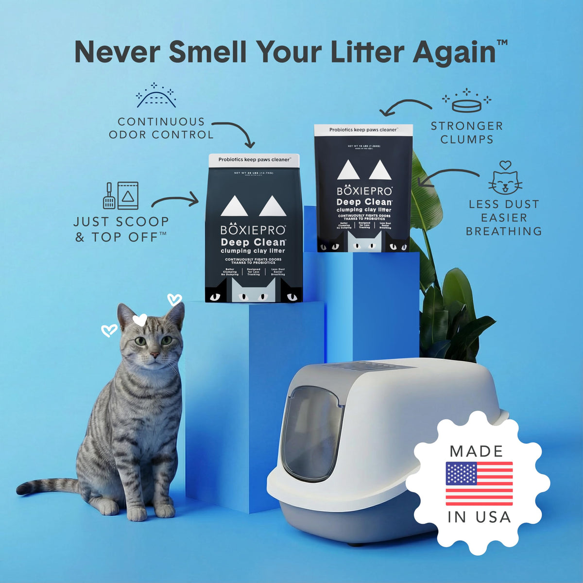 Boxie Probiotic Cat Litter, 40 Day Control, Clumping Clay Kitty Litter, Odor Eliminating Probiotics, Dust-Free, No Fragrances No Fillers, 16 lb