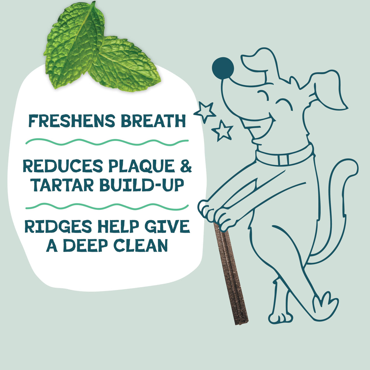 Shameless Pets Blueberry & Mint Dental Chews for Dogs, 8 Chews - Natural Dog Teeth Cleaning Treats with Fresh Breath Benefits | Grain-Free Dental Sticks for Small, Medium & Large Dogs (Pack of 6)