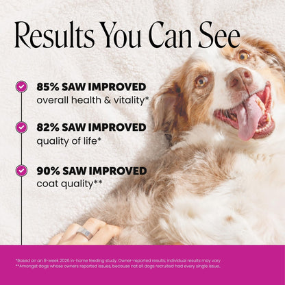 Pet Honesty Vet Recommended 10-in-1 Dog Multivitamin, 90 Ct, Peanut Butter