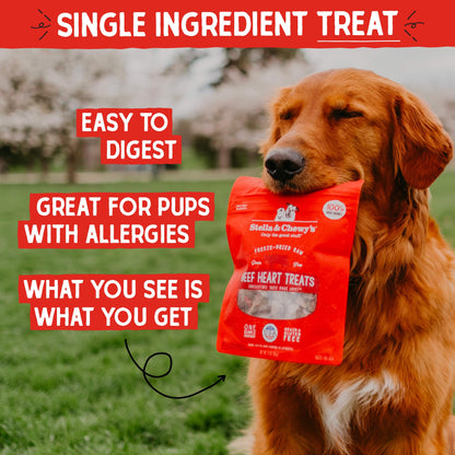 Stella & Chewy's Freeze-Dried Raw Chicken Breast Dog Treats - Single Ingredient, No Additives - Premium Training Treats - Perfect For Picky Eaters - 2.75oz Bag