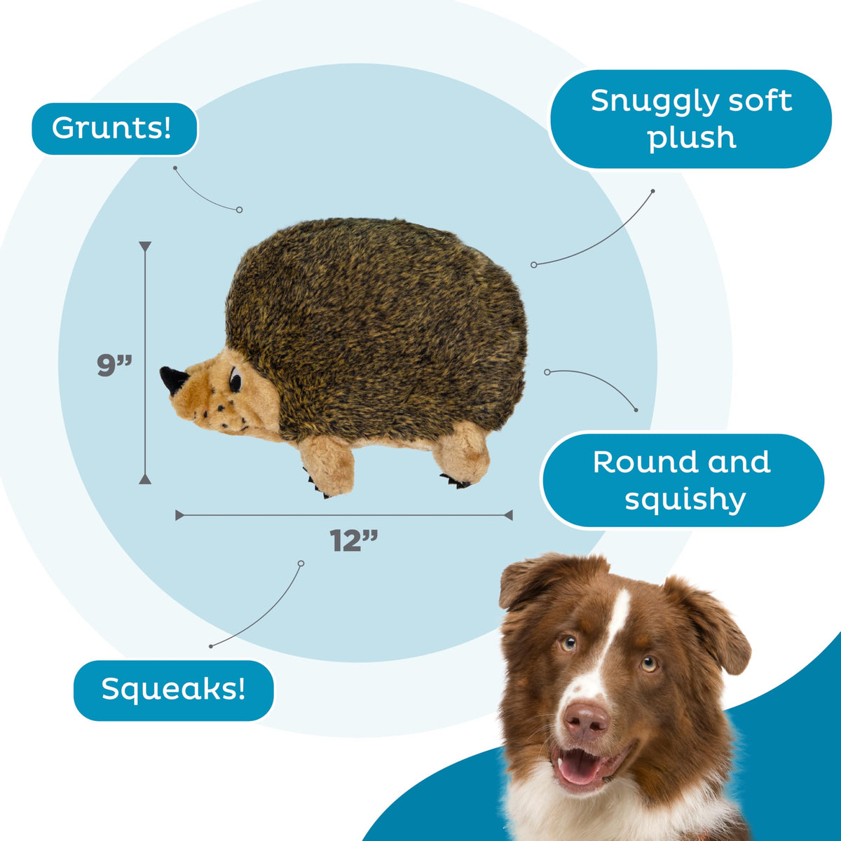 Outward Hound Hedgehogz Plush Dog Toy, Squeaks & Grunts, Medium, 9" x 6.5"