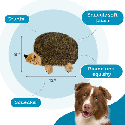 Outward Hound Hedgehogz Plush Dog Toy, Squeaks & Grunts, Medium, 9" x 6.5"