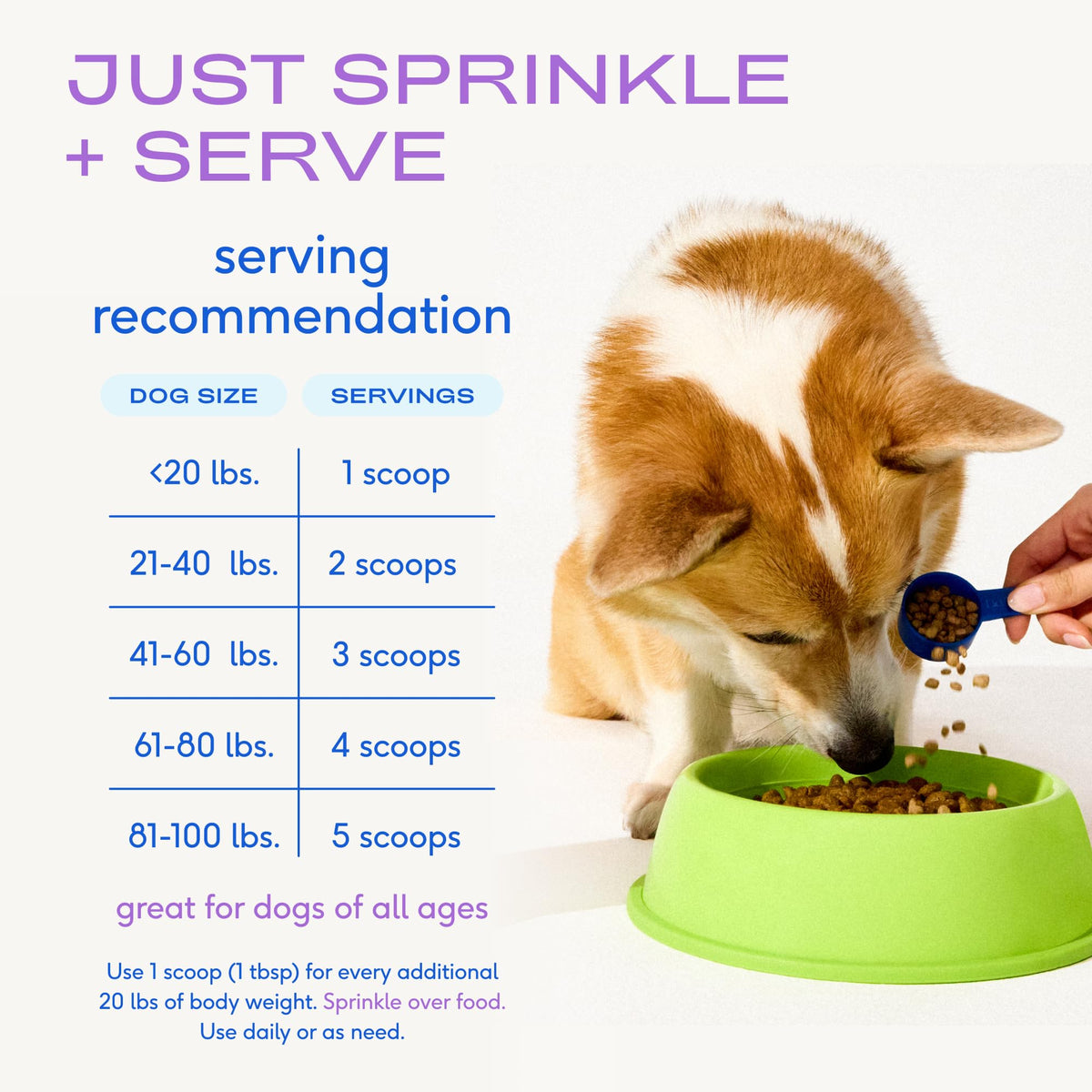 Native Pet GutWell Power Poop - Digestive Support & Fiber for Dogs - Promotes Healthy Stools, Supports Balanced Microbiome & Digestive Function - Triple-Biotic Blend & M-Fiber - 60 Scoops