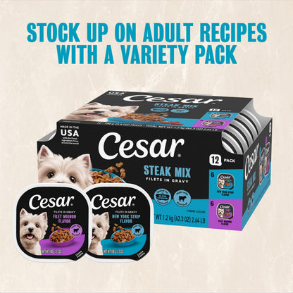 Cesar Filets in Gravy Wet Dog Food, Steak Mix Variety, 3.5 oz, 24 Count