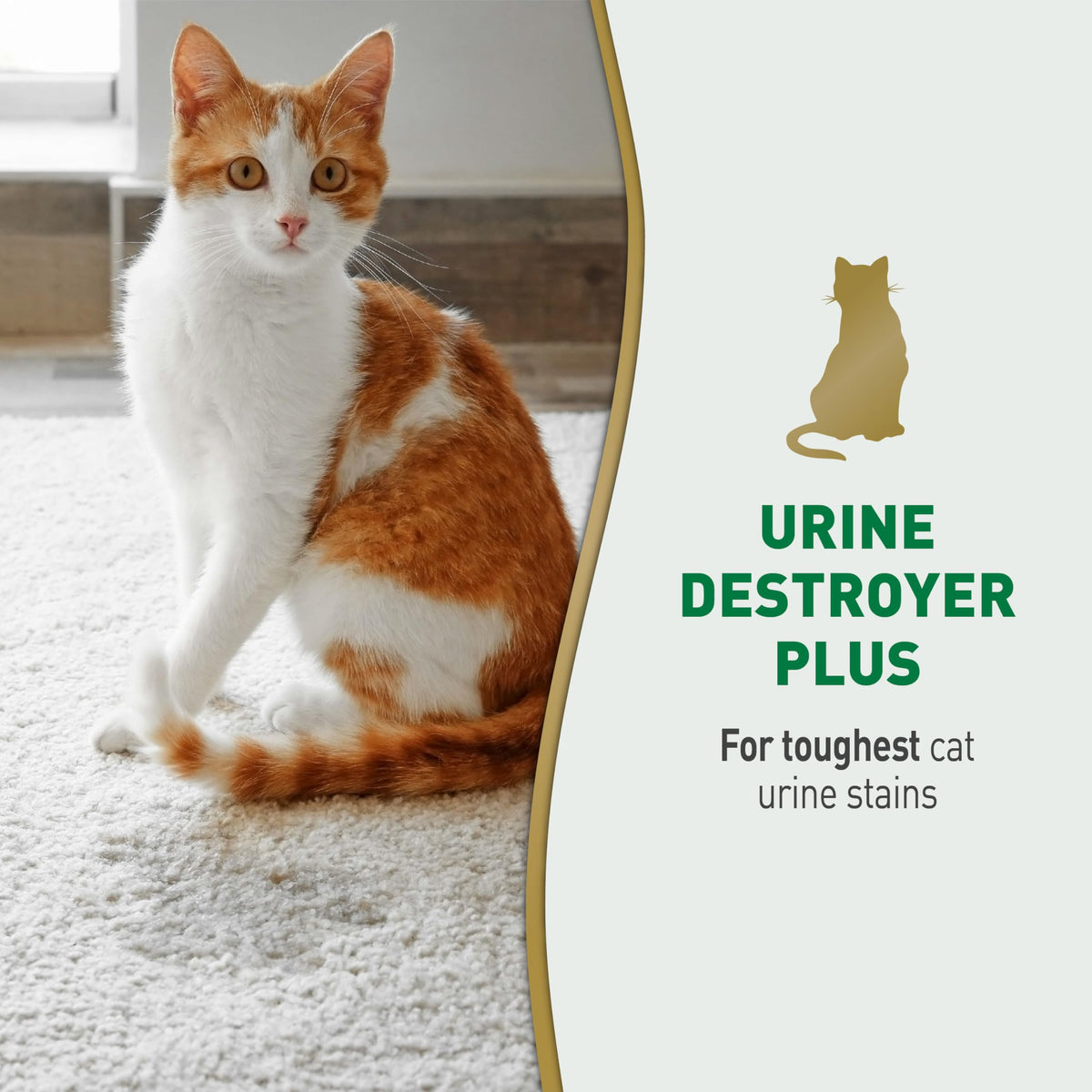 Nature's Miracle Cat Urine Destroyer Plus, Enzymatic Cleaner, 1 gal