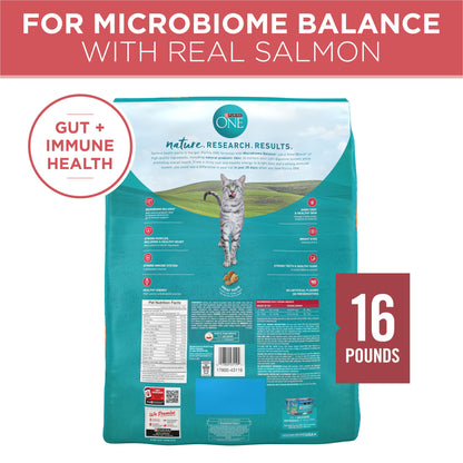 Purina ONE Natural Dry Cat Food, Tender Selects Blend with Real Salmon - 22 lb. Bag