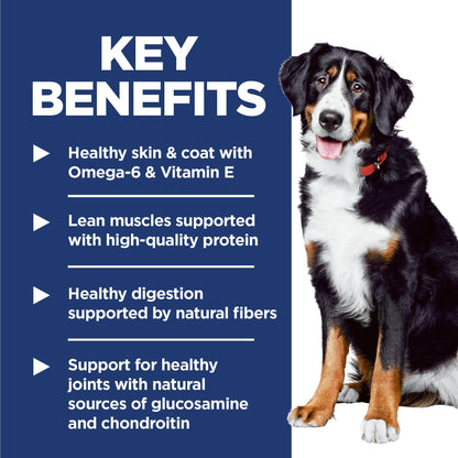Hill's Science Diet Large Breed Dry Dog Food