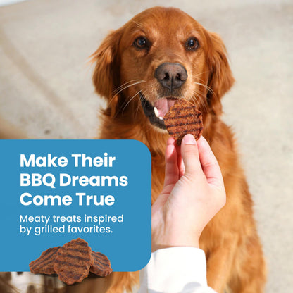 Blue Buffalo Nudges Grillers Chicken Dog Treats, 16 oz