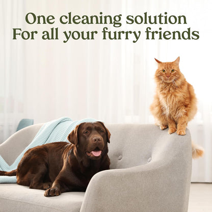PAWFUME Stain & Pet Urine Odor Eliminator, 1-Pack