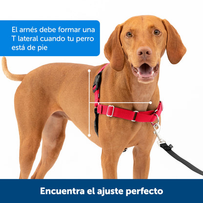 PetSafe Easy Walk Harness, No Pull Dog Harness, Raspberry, Medium/Large
