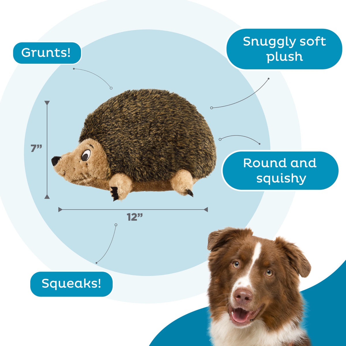 Outward Hound Hedgehogz Plush Dog Toy, Squeaks & Grunts, Medium, 9" x 6.5"