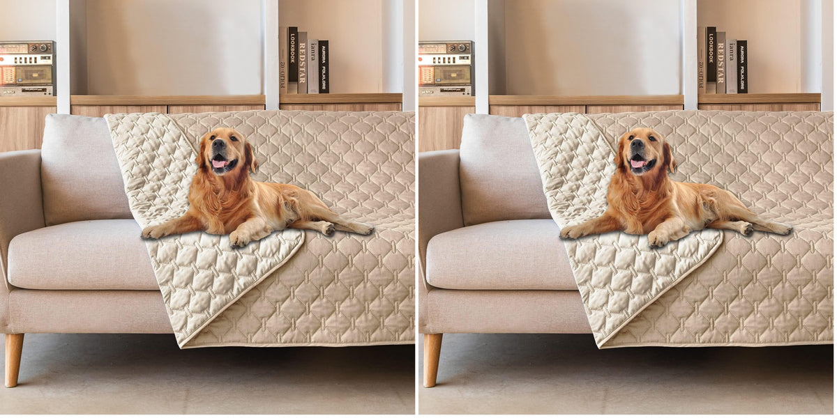 gogobunny Waterproof Dog Blankets for Large Dogs, Pet Bed Cover Breathable