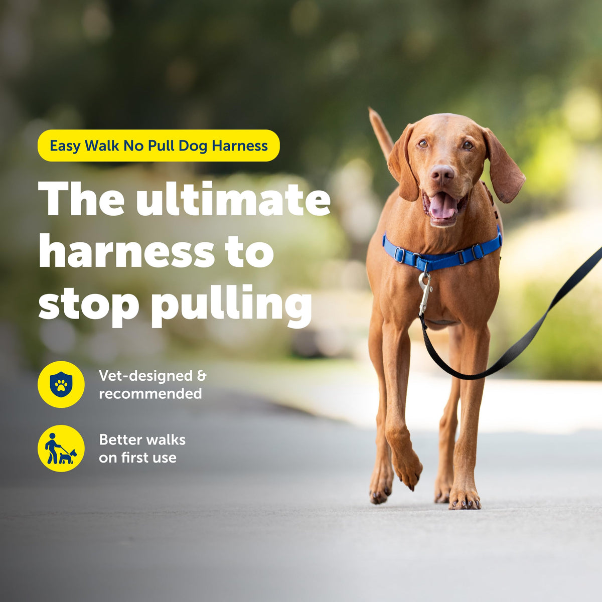 PetSafe Easy Walk Harness, No Pull Dog Harness, Raspberry, Medium/Large