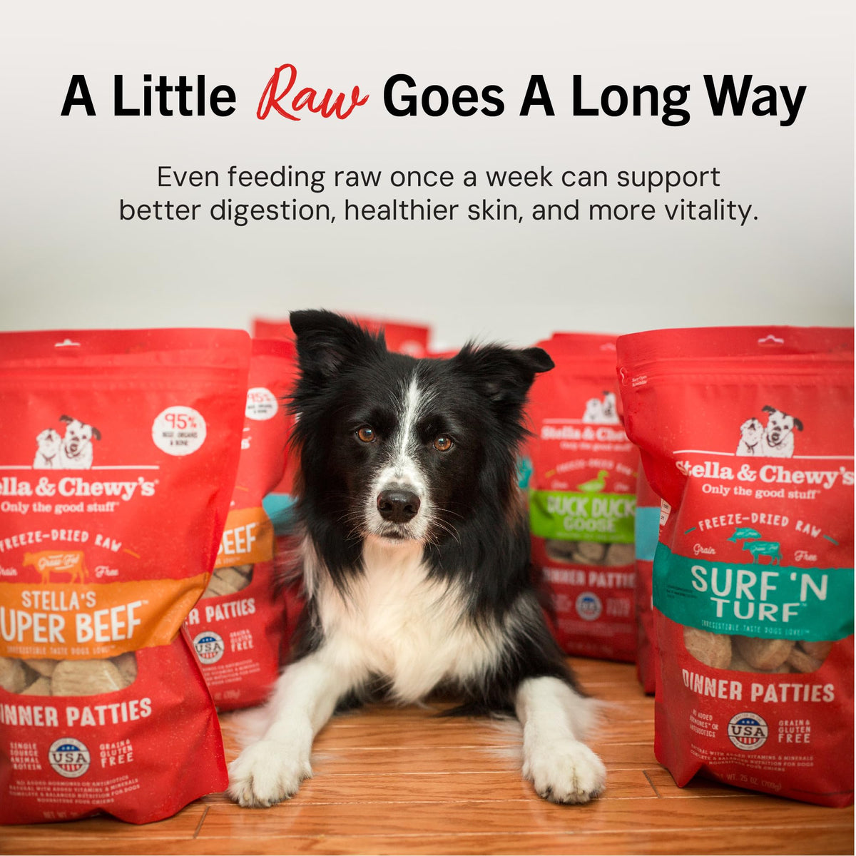 Stella & Chewy's Freeze-Dried Raw Dinner Patties - Beef Recipe - High Protein Grain-Free Puppy & Dog Food - Perfect For Picky Eaters - 25 oz