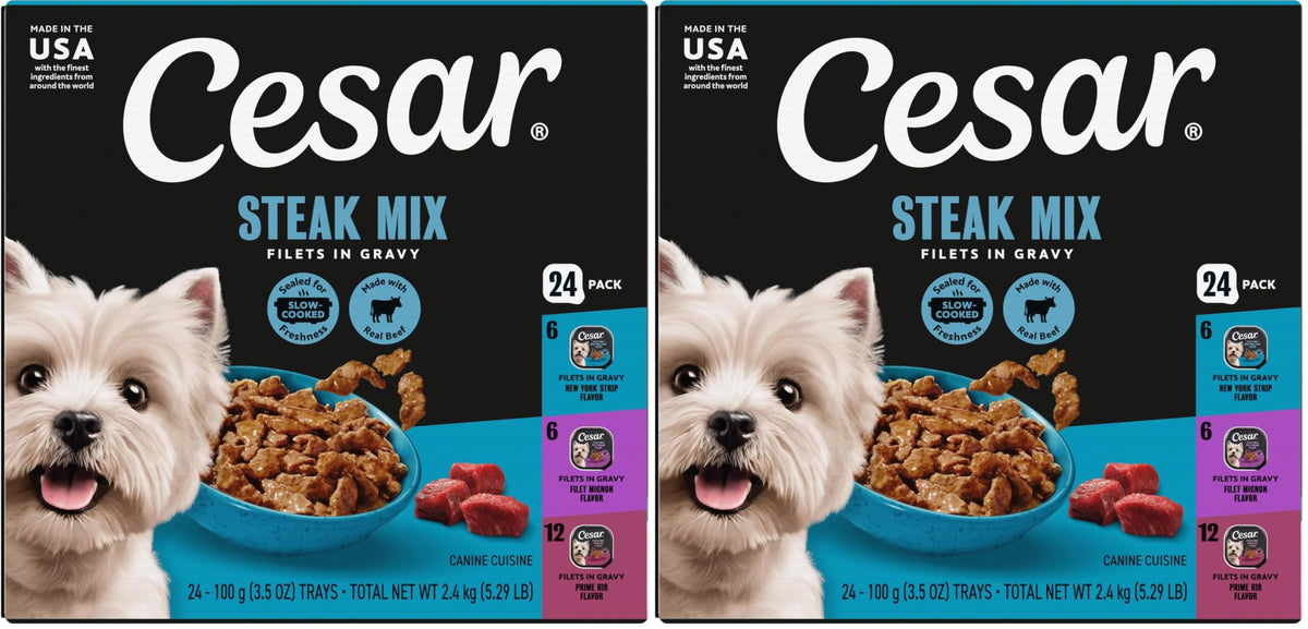 Cesar Filets in Gravy Wet Dog Food, Steak Mix Variety, 3.5 oz, 24 Count