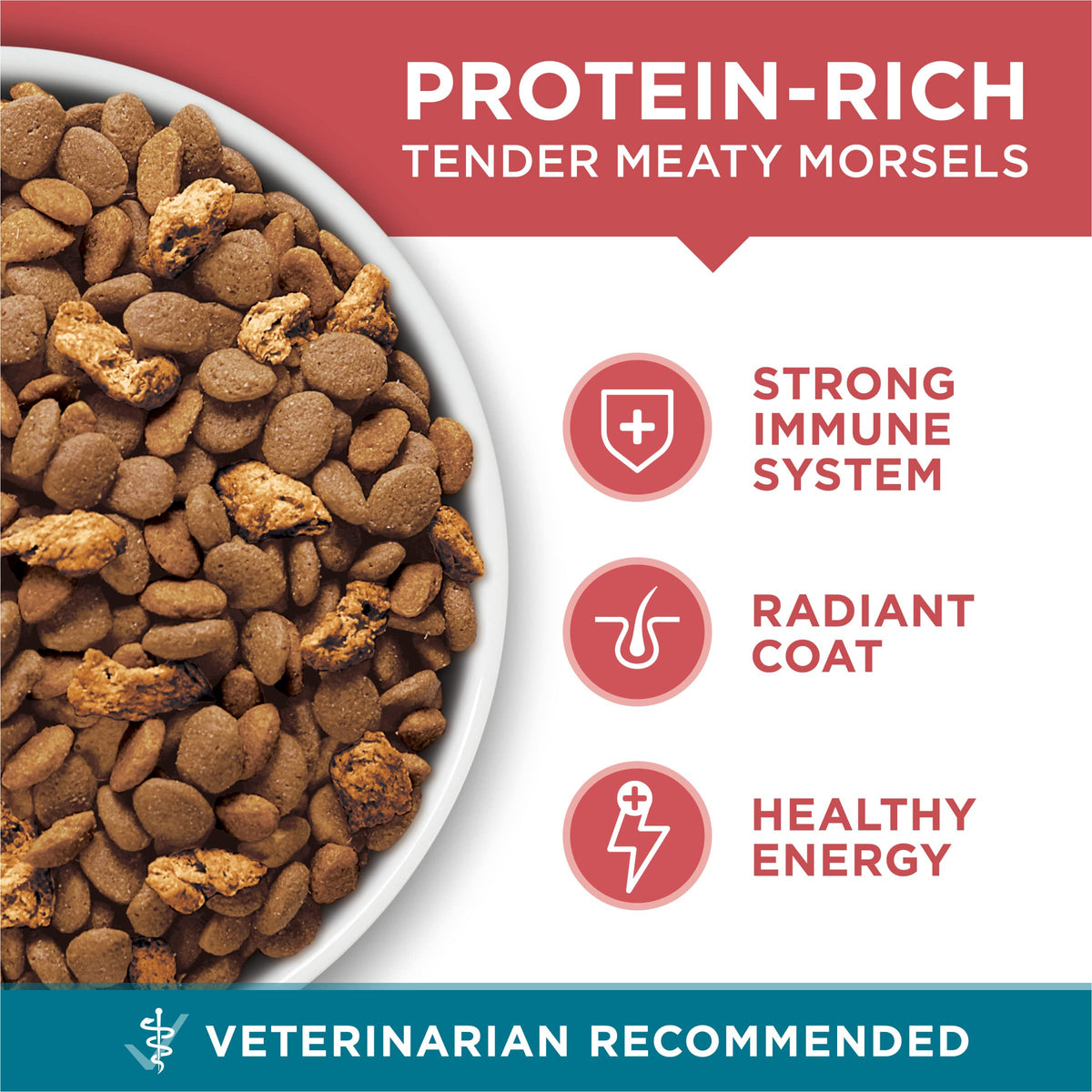 Purina ONE Natural Dry Cat Food, Tender Selects Blend with Real Salmon - 22 lb. Bag