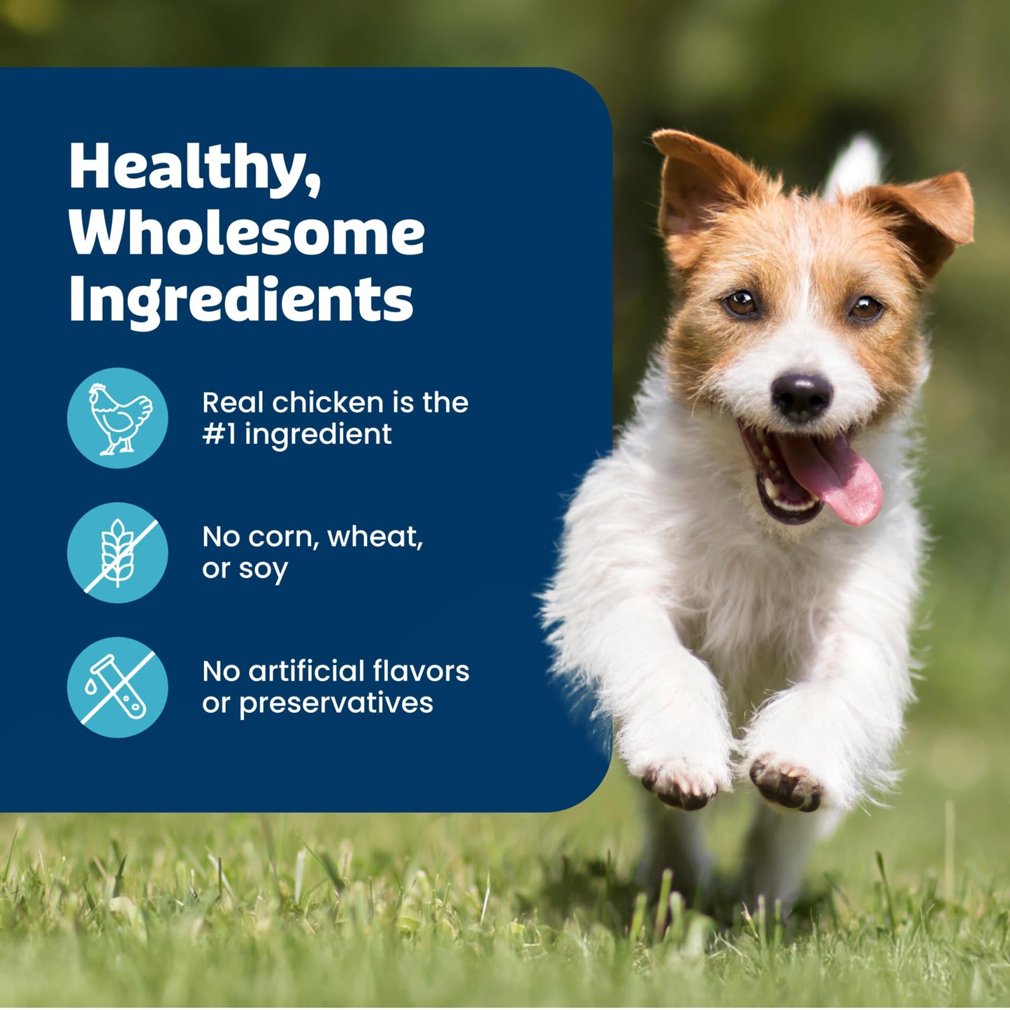 Blue Buffalo True Chews Premium Jerky Cuts Chicken Dog Treats, 4 oz