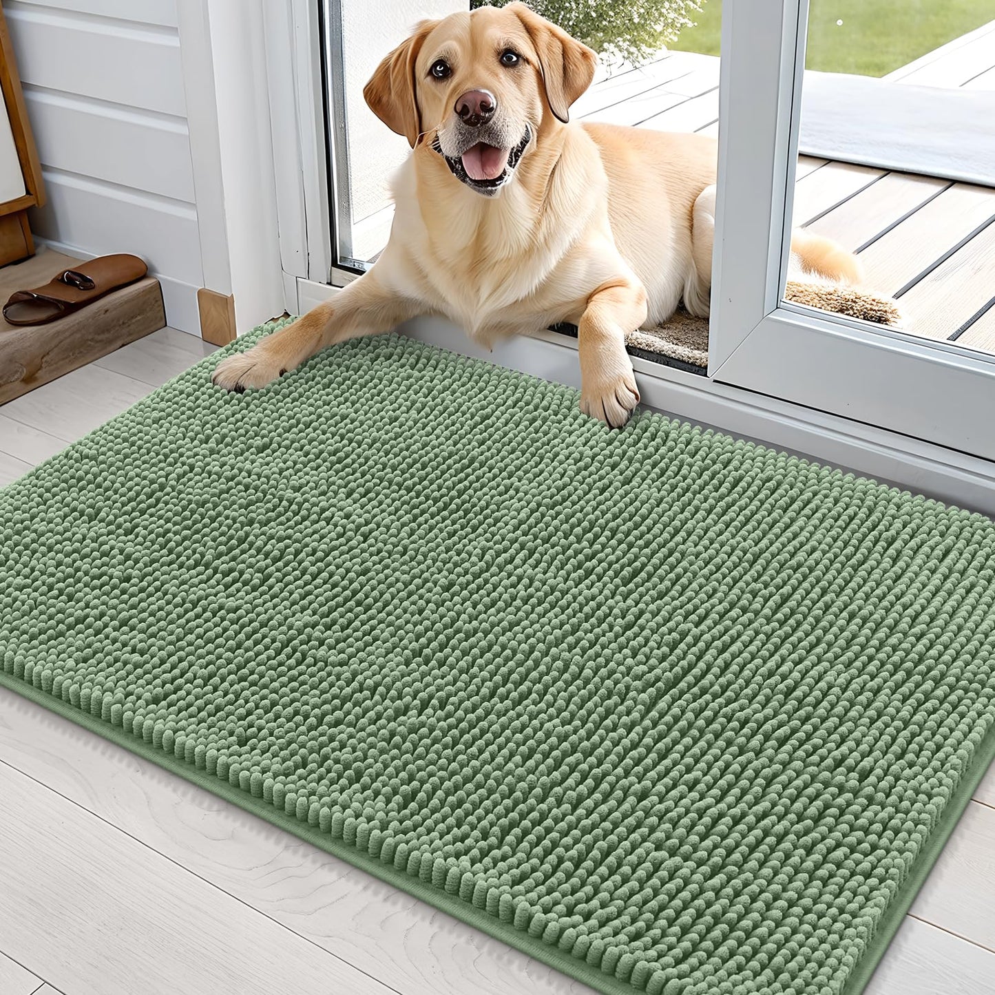OLANLY Dog Door Mat for Muddy Paws 30x20, Super Absorbent Chenille Mud Mat
