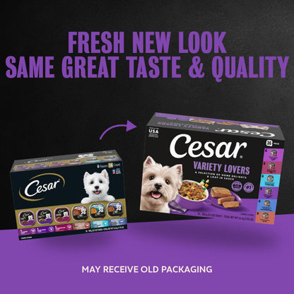 Cesar Wet Dog Food, Steak Lovers Variety Pack, 3.5 oz, 36 Count