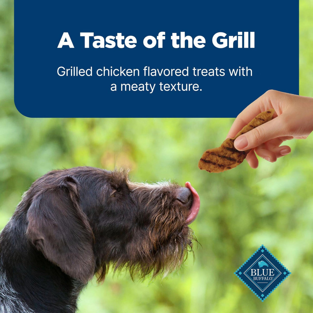 Blue Buffalo Nudges Grillers Salmon Dog Treats, 16 oz