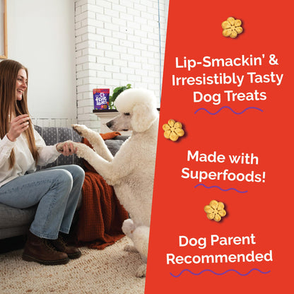 Fruitables Baked Dog Treats, Low Calorie Treats, Pumpkin & Blueberry, 12oz
